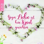 [Rezension] Gegen Liebe ist kein Kraut gewachsen – Abbi Waxman