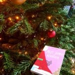 [Rezension] Alle Jahre Widder – Martin Klein