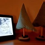 [Rezension ~ Werbung] Winter of Love: Anna & Vince – Mimi Heeger