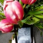 [Rezension ~ Werbung] Secret Darkness. Im Spiegel der Schatten – Johanna Danninger