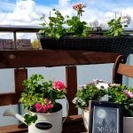 [Rezension ~ Werbung] Melody of Eden 2: Blutwächter