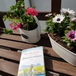 [Rezension ~ Werbung] Islandsommer –  Kiri Johansson