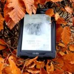 [Rezension] Where the Heart Is. Nelly und Fynn – Johanna Rau