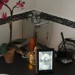 [Rezension ~ Werbung] Moon Sentinel. Verräterin der Wächter – Jenna Liermann