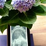 (Rezension ~ Werbung) True Tales 2: Zauber der Spiegel – Veronika Rothe